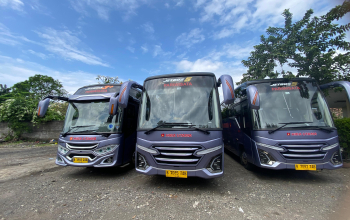 bus pariwisata bali 30 seat