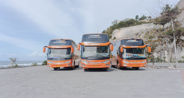 bus pariwisata bali