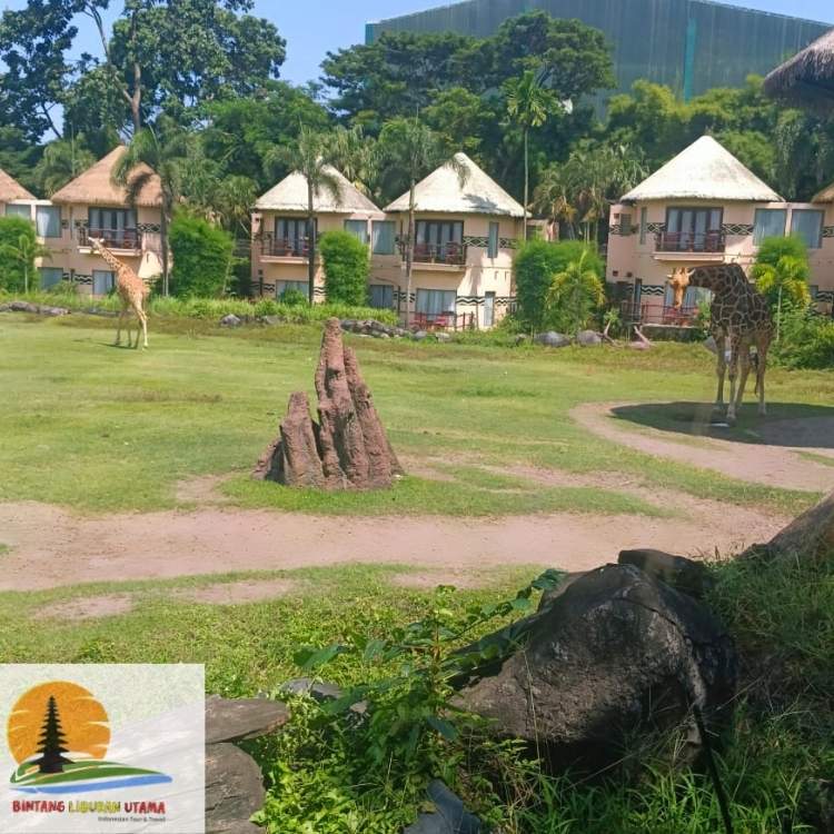 itinerary bali 4 hari 3 malam dengan anak