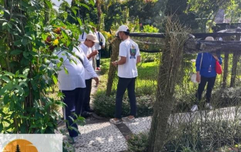 desa wisata bali utara