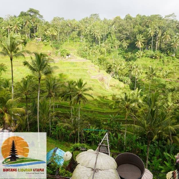 desa wisata bali utara