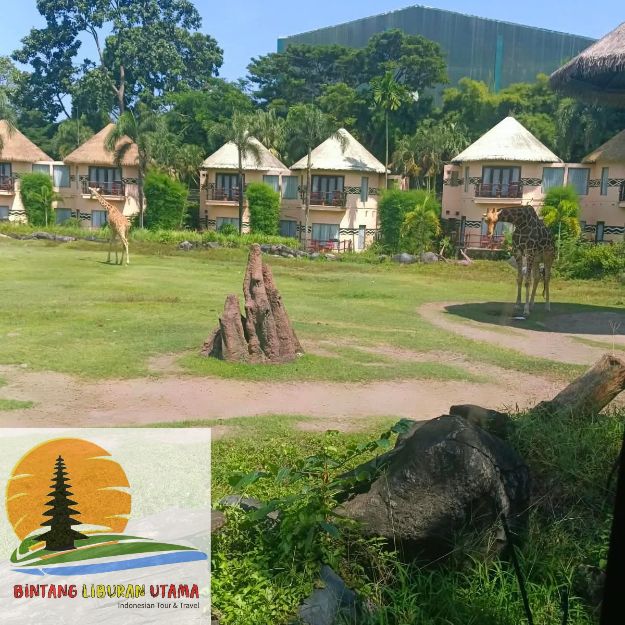 wisata edukasi anak di bali