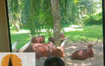 wisata edukasi di denpasar bali