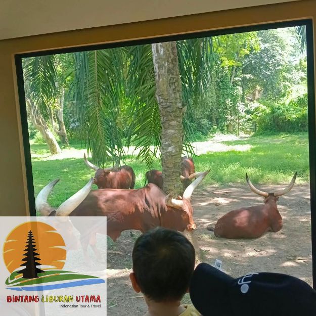wisata edukasi di denpasar bali